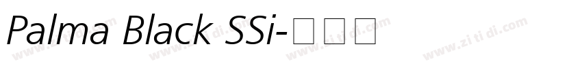 Palma Black SSi字体转换